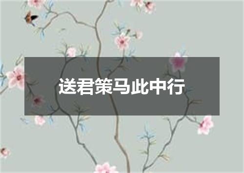 送君策马此中行