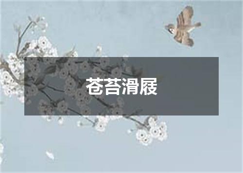 苍苔滑屐