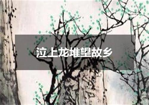 泣上龙堆望故乡