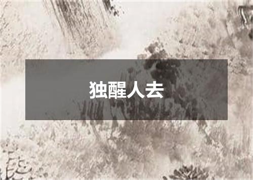 独醒人去