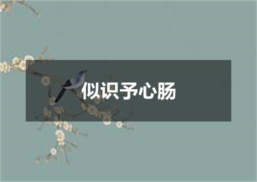似识予心肠