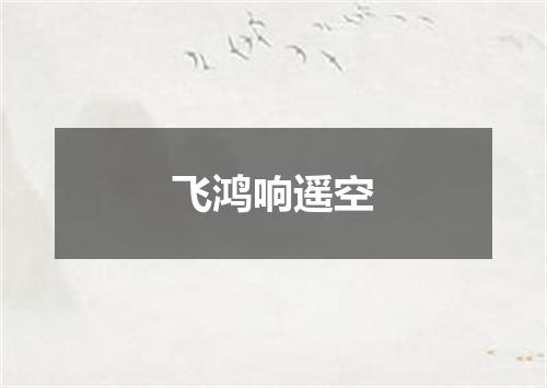 飞鸿响遥空