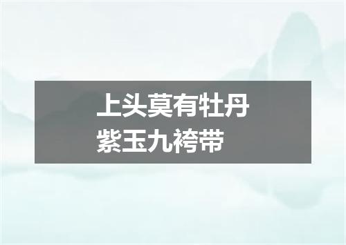 上头莫有牡丹紫玉九袴带
