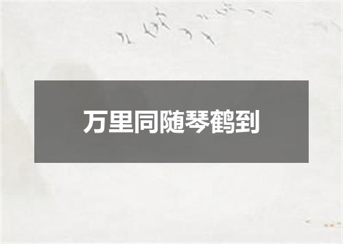万里同随琴鹤到
