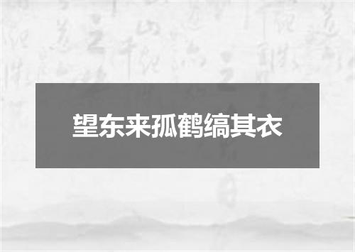 望东来孤鹤缟其衣