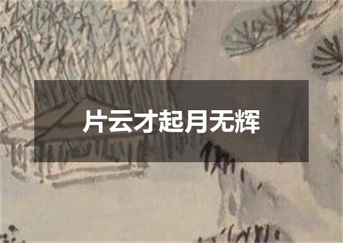 片云才起月无辉