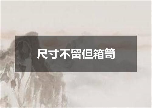 尺寸不留但箱笥