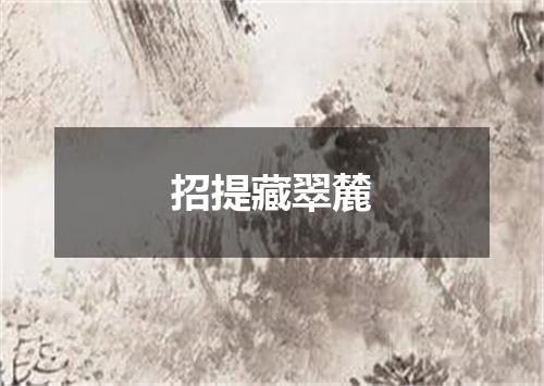 招提藏翠麓