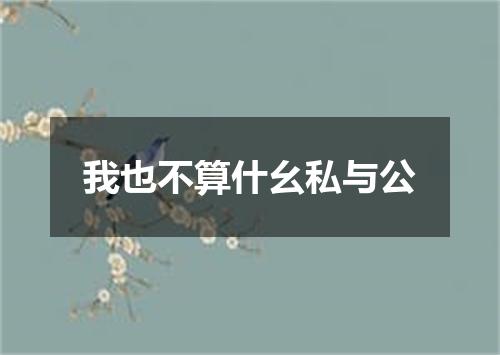 我也不算什幺私与公