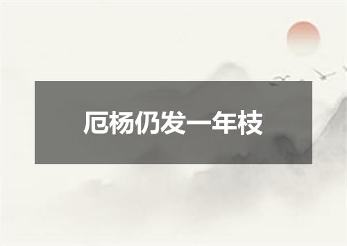 厄杨仍发一年枝