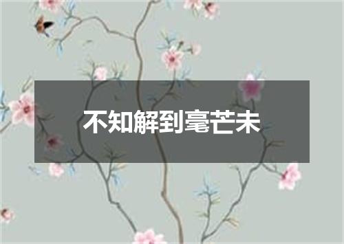 不知解到毫芒未