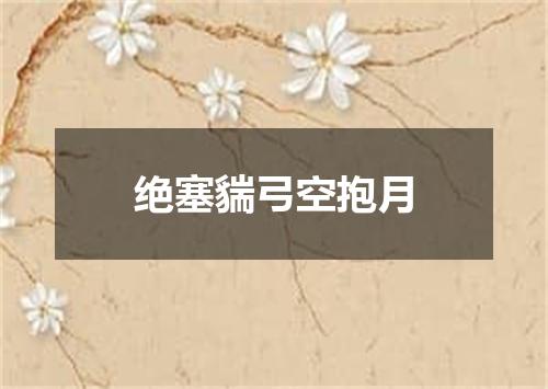 绝塞貒弓空抱月