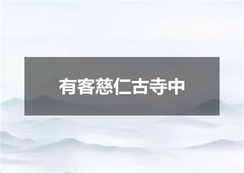 有客慈仁古寺中