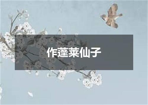 作蓬莱仙子