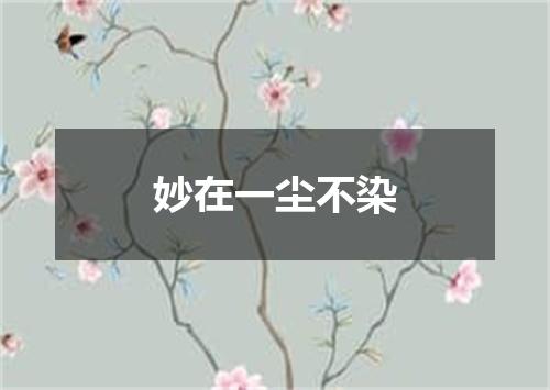 妙在一尘不染