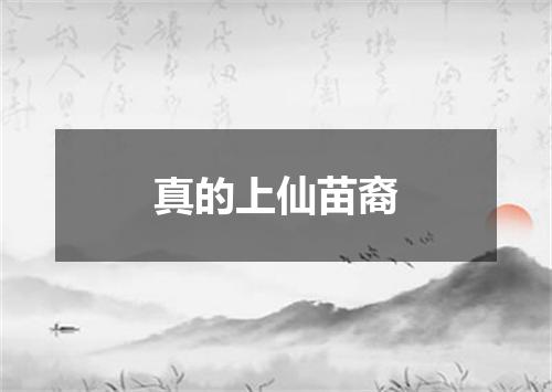 真的上仙苗裔