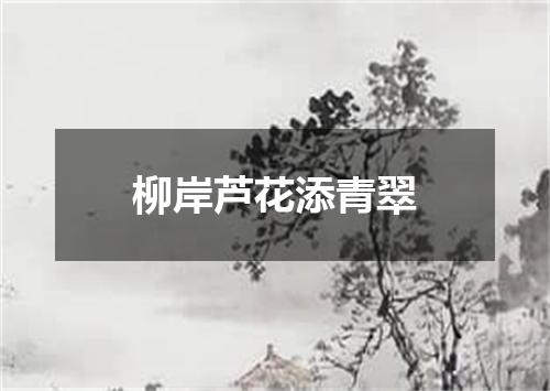 柳岸芦花添青翠