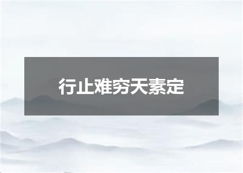 行止难穷天素定