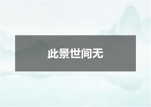 此景世间无
