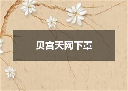 贝宫天网下罩