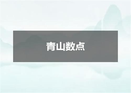 青山数点