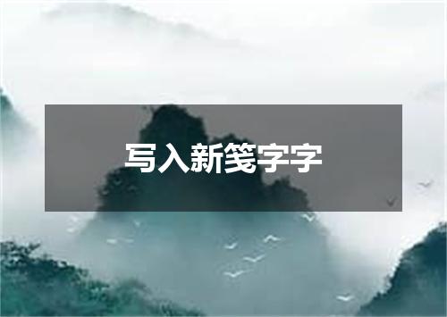 写入新笺字字