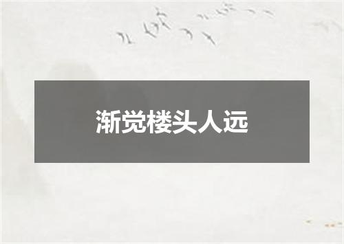 渐觉楼头人远