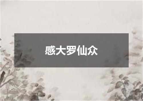 感大罗仙众