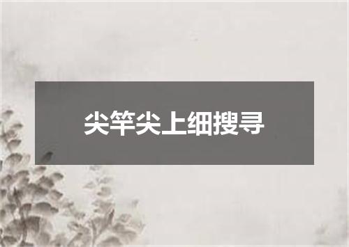 尖竿尖上细搜寻