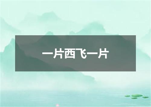 一片西飞一片