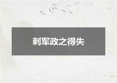 刺军政之得失