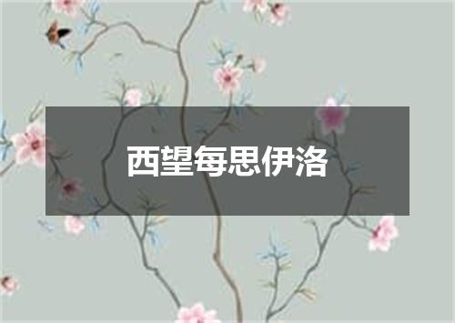 西望每思伊洛