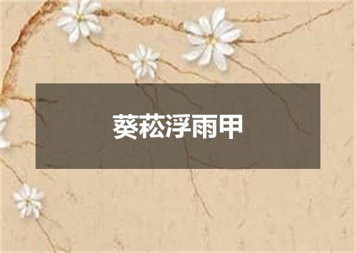 葵菘浮雨甲