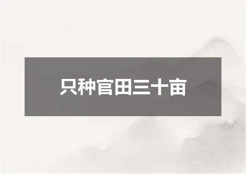 只种官田三十亩