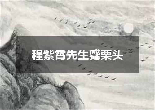 程紫霄先生觱栗头