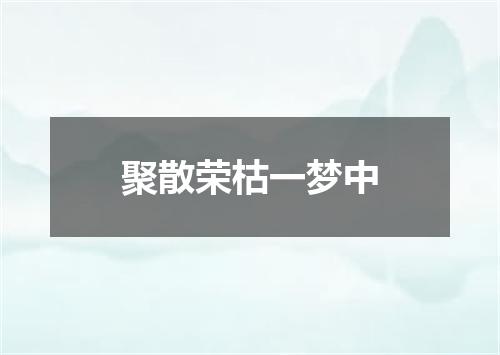 聚散荣枯一梦中