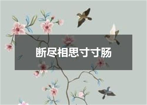断尽相思寸寸肠