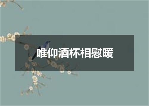 唯仰酒杯相慰暖