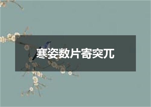 寒姿数片寄突兀