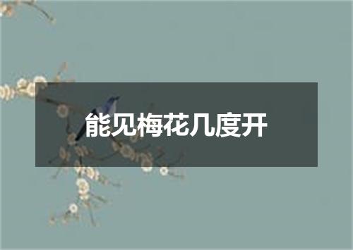 能见梅花几度开