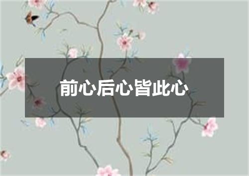 前心后心皆此心