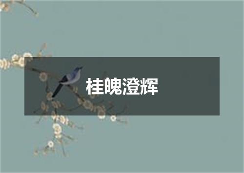 桂魄澄辉