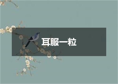 耳服一粒