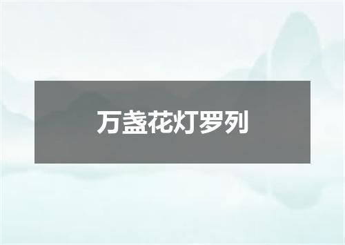 万盏花灯罗列