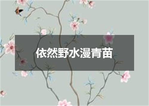 依然野水漫青苗