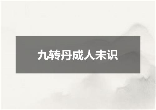 九转丹成人未识