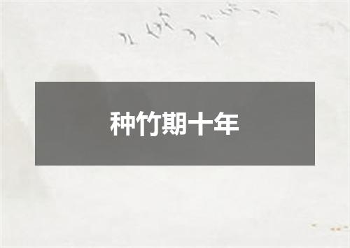 种竹期十年