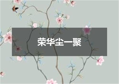 荣华尘一聚