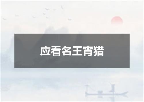 应看名王宵猎
