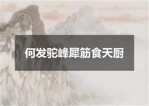 何发驼峰犀筋食天厨